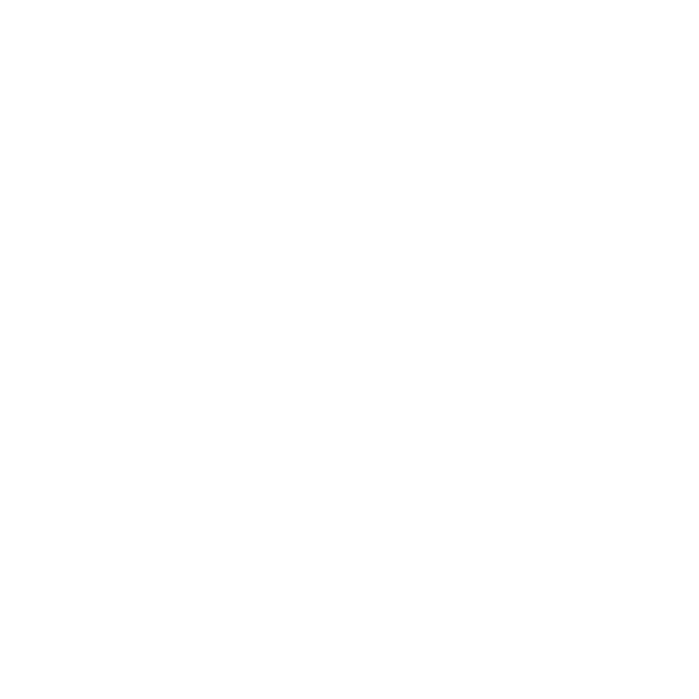 25253