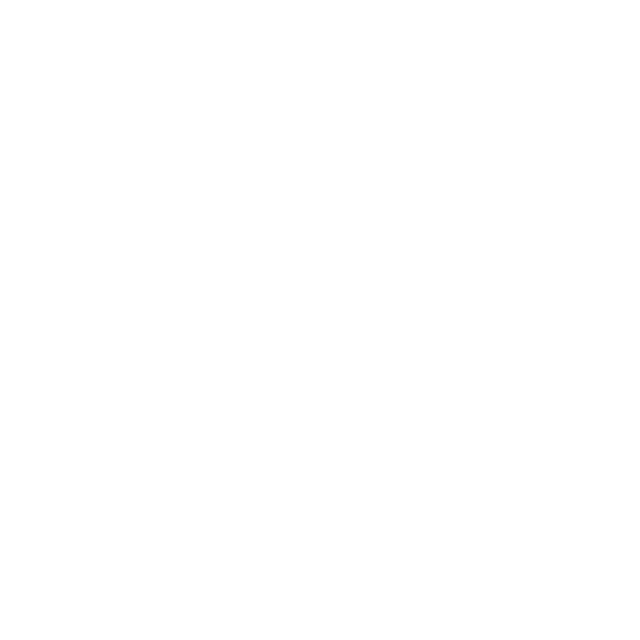 25256